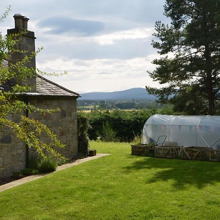 Amazing Cottage With Private Indoor Swim Pool And Hot Tub Grantown-on-Spey Eksteriør billede