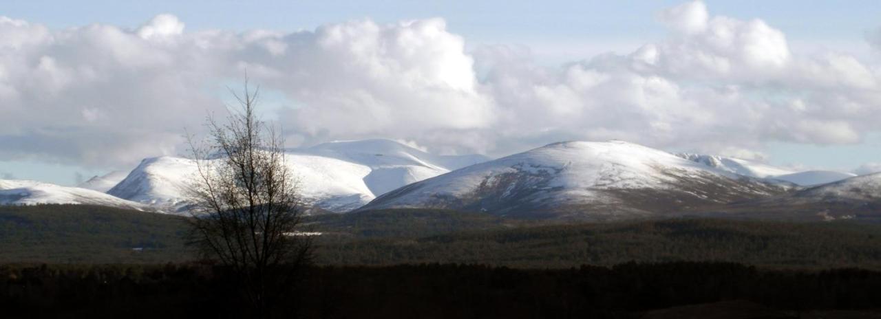 Amazing Cottage With Private Indoor Swim Pool And Hot Tub Grantown-on-Spey Eksteriør billede