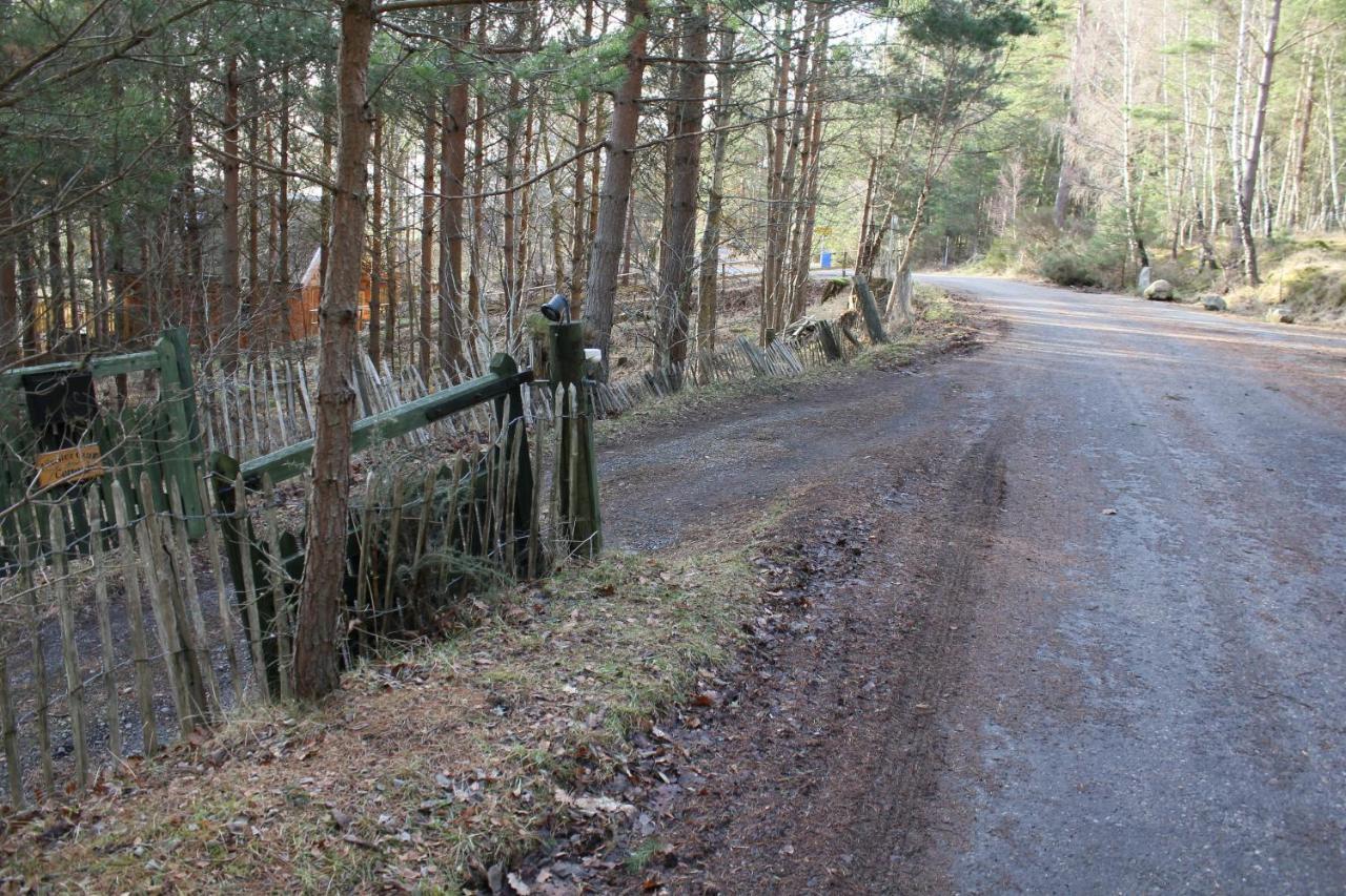 Amazing Cottage With Private Indoor Swim Pool And Hot Tub Grantown-on-Spey Eksteriør billede