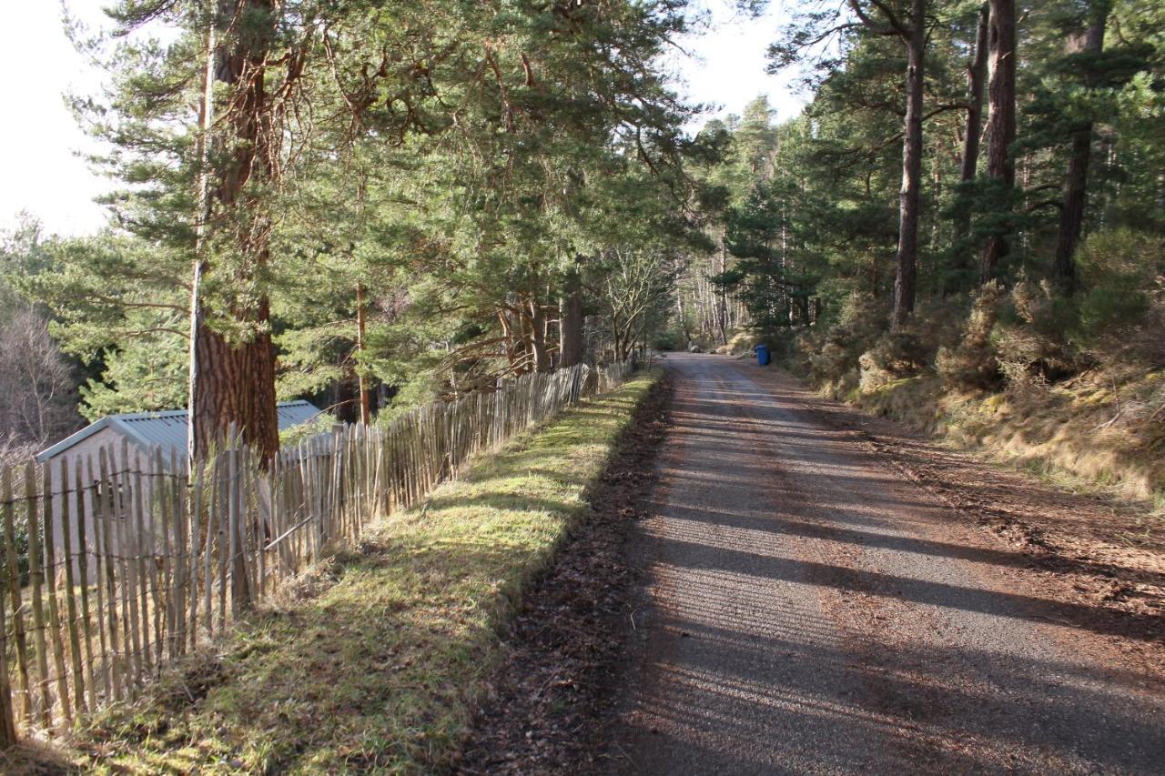 Amazing Cottage With Private Indoor Swim Pool And Hot Tub Grantown-on-Spey Eksteriør billede