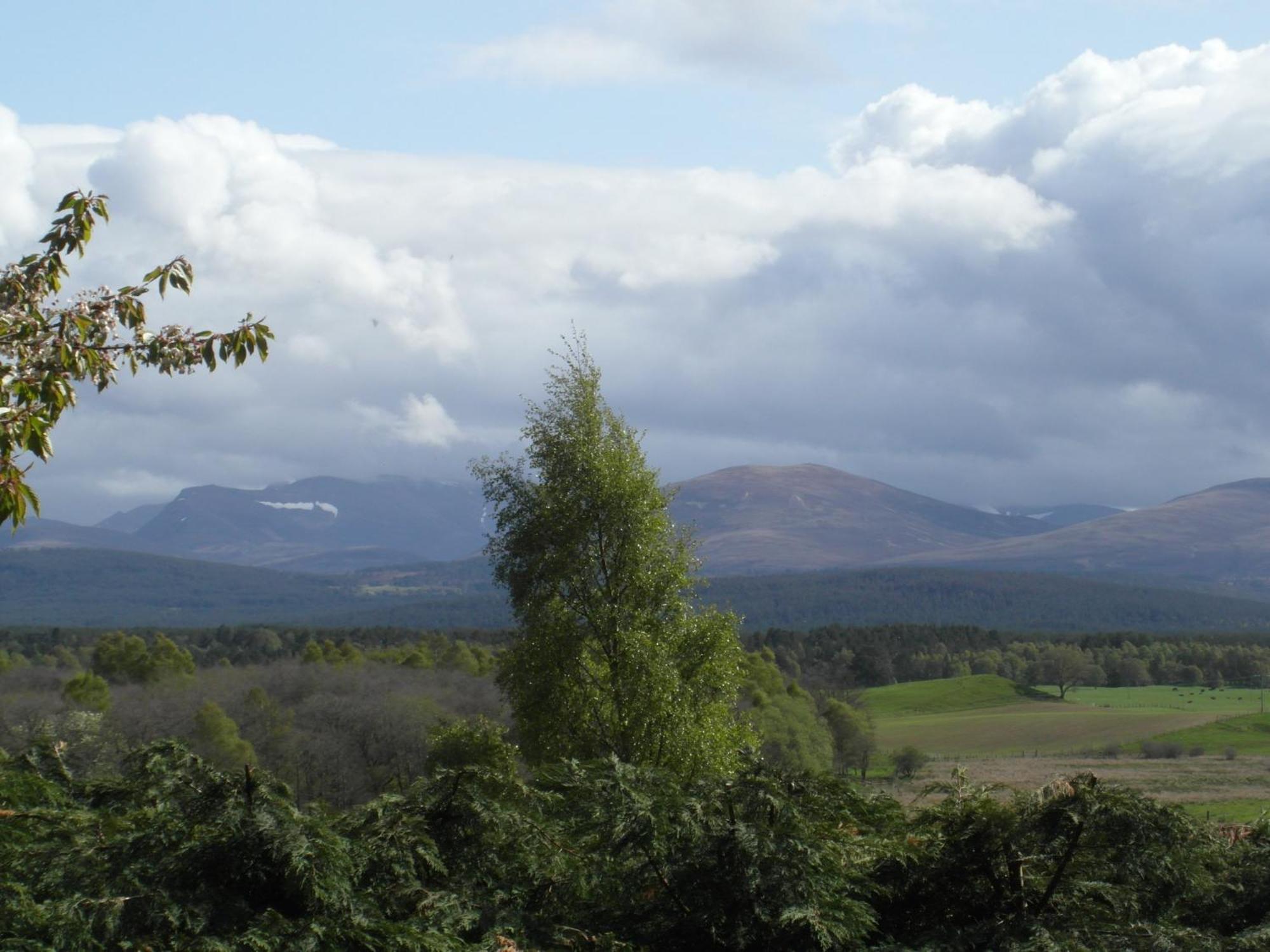 Amazing Cottage With Private Indoor Swim Pool And Hot Tub Grantown-on-Spey Eksteriør billede